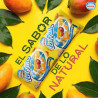 HELADOS NESTLE LA FRUTTA GUAYABA