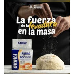 Levadura 500g Fabao