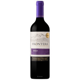 Vino Tinto Frontera 750 ml Merlot