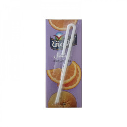 Jugo de naranja Domty (235 ml)